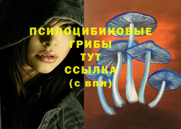 мет Тутаев
