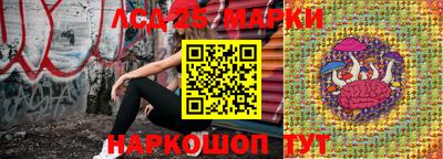 прущие грибы Комсомольск-на-Амуре