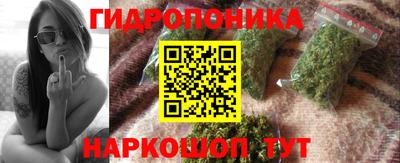 прущие грибы Комсомольск-на-Амуре