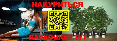 прущие грибы Комсомольск-на-Амуре