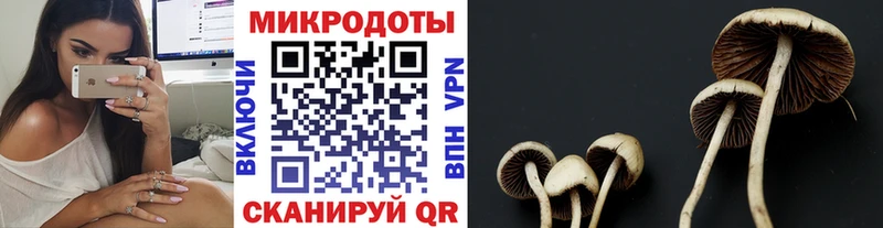 магазин  наркотиков  Южноуральск  Псилоцибиновые грибы GOLDEN TEACHER 