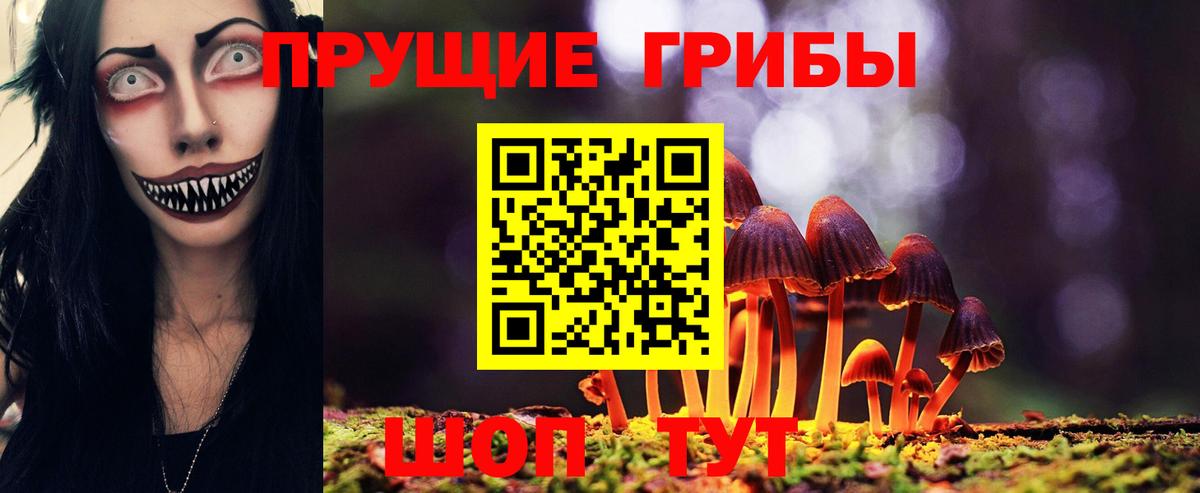 Псилоцибиновые грибы Psilocybine cubensis  Вход с VPN  Южноуральск  Псилоцибиновые грибы мухоморы 