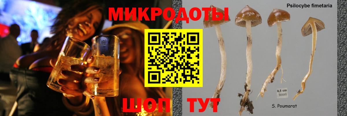 Псилоцибиновые грибы прущие грибы Южноуральск